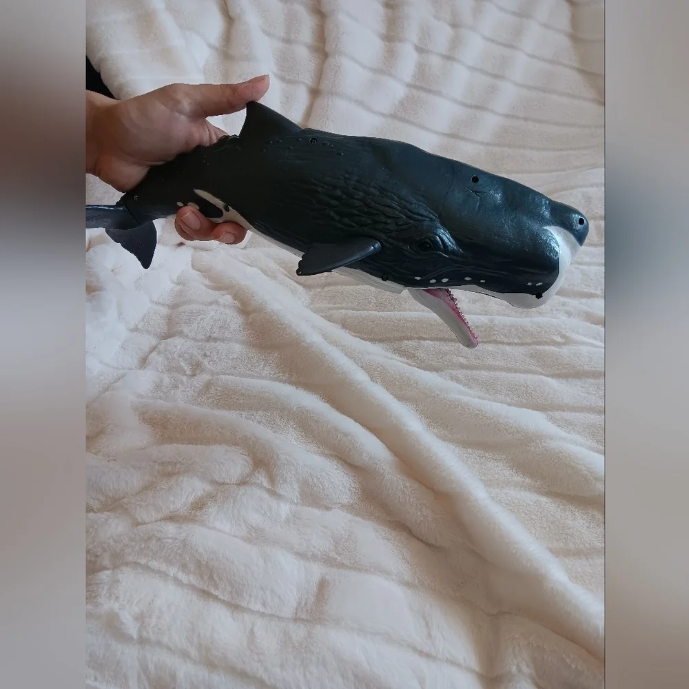 Whale big whale 14